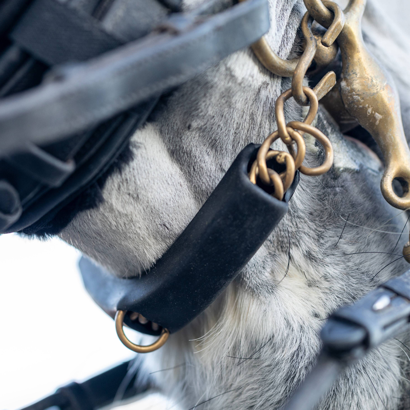 LeMieux Curb Chain Guard-2